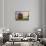 China, Beijing, Summer Palace-Maurizio Rellini-Framed Stretched Canvas displayed on a wall