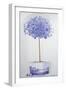 China Blue Tree Set in a Niche-Lincoln Seligman-Framed Giclee Print