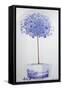 China Blue Tree Set in a Niche-Lincoln Seligman-Framed Stretched Canvas