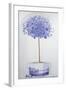 China Blue Tree Set in a Niche-Lincoln Seligman-Framed Giclee Print