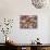 China Cabinet Oxblood-Bill Jackson-Mounted Giclee Print displayed on a wall