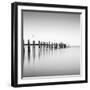 China Camp Pano BW 2 of 3-Moises Levy-Framed Photographic Print