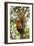 China, Chengdu, Wolong National Natural Reserve. Lesser Panda in Tree-Jaynes Gallery-Framed Photographic Print