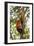 China, Chengdu, Wolong National Natural Reserve. Lesser Panda in Tree-Jaynes Gallery-Framed Photographic Print