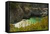 China Cove and Beach, Point Lobos State Reserve, California, USA-Michel Hersen-Framed Stretched Canvas