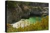 China Cove and Beach, Point Lobos State Reserve, California, USA-Michel Hersen-Stretched Canvas