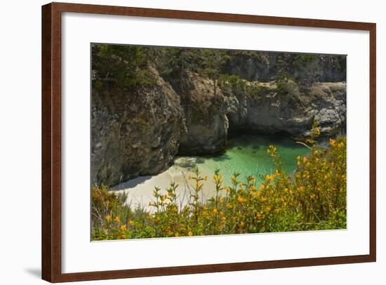 China Cove and Beach, Point Lobos State Reserve, California, USA-Michel Hersen-Framed Photographic Print