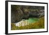 China Cove and Beach, Point Lobos State Reserve, California, USA-Michel Hersen-Framed Photographic Print