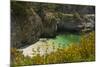 China Cove and Beach, Point Lobos State Reserve, California, USA-Michel Hersen-Mounted Photographic Print