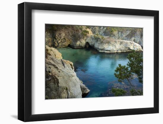 China Cove, Point Lobos Natural Reserve, Carmel, California, USA-Michel Hersen-Framed Photographic Print