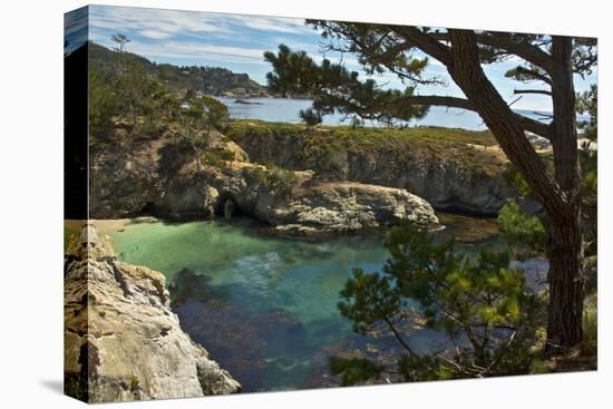China Cove, Point Lobos State Reserve, Carmel, California, USA-Michel Hersen-Stretched Canvas