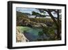 China Cove, Point Lobos State Reserve, Carmel, California, USA-Michel Hersen-Framed Photographic Print