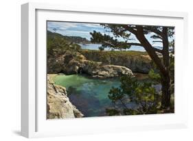 China Cove, Point Lobos State Reserve, Carmel, California, USA-Michel Hersen-Framed Photographic Print