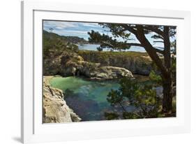 China Cove, Point Lobos State Reserve, Carmel, California, USA-Michel Hersen-Framed Photographic Print