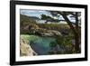 China Cove, Point Lobos State Reserve, Carmel, California, USA-Michel Hersen-Framed Photographic Print