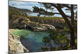 China Cove, Point Lobos State Reserve, Carmel, California, USA-Michel Hersen-Mounted Photographic Print