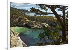 China Cove, Point Lobos State Reserve, Carmel, California, USA-Michel Hersen-Framed Photographic Print