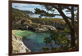 China Cove, Point Lobos State Reserve, Carmel, California, USA-Michel Hersen-Framed Photographic Print