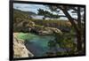 China Cove, Point Lobos State Reserve, Carmel, California, USA-Michel Hersen-Framed Photographic Print