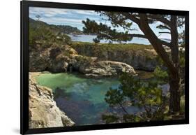 China Cove, Point Lobos State Reserve, Carmel, California, USA-Michel Hersen-Framed Photographic Print