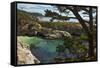 China Cove, Point Lobos State Reserve, Carmel, California, USA-Michel Hersen-Framed Stretched Canvas