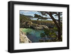 China Cove, Point Lobos State Reserve, Carmel, California, USA-Michel Hersen-Framed Photographic Print