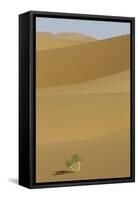 China, Gansu Province. Lone plant casts shadow on Badain Jaran Desert.-Josh Anon-Framed Stretched Canvas