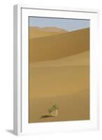 China, Gansu Province. Lone plant casts shadow on Badain Jaran Desert.-Josh Anon-Framed Photographic Print