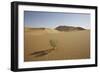 China, Gansu Province. Lone plant casts shadow on Badain Jaran Desert.-Josh Anon-Framed Photographic Print