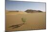 China, Gansu Province. Lone plant casts shadow on Badain Jaran Desert.-Josh Anon-Mounted Photographic Print