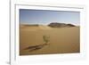 China, Gansu Province. Lone plant casts shadow on Badain Jaran Desert.-Josh Anon-Framed Photographic Print