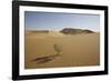 China, Gansu Province. Lone plant casts shadow on Badain Jaran Desert.-Josh Anon-Framed Photographic Print