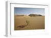 China, Gansu Province. Lone plant casts shadow on Badain Jaran Desert.-Josh Anon-Framed Photographic Print