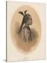 China Girl, Sycee Head Dress, 1855-Eliphalet Brown-Stretched Canvas