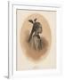 China Girl, Sycee Head Dress, 1855-Eliphalet Brown-Framed Giclee Print