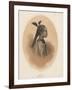 China Girl, Sycee Head Dress, 1855-Eliphalet Brown-Framed Giclee Print