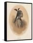 China Girl, Sycee Head Dress, 1855-Eliphalet Brown-Framed Stretched Canvas