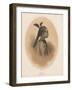 China Girl, Sycee Head Dress, 1855-Eliphalet Brown-Framed Giclee Print