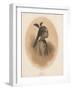 China Girl, Sycee Head Dress, 1855-Eliphalet Brown-Framed Giclee Print