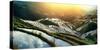 China, Guangxi Province, Longsheng, Long Ji rice terrace filled with water in the morning with Tian-Maurizio Rellini-Stretched Canvas