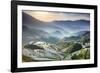 China, Guangxi Province, Longsheng, Long Ji rice terrace filled with water in the morning with Tian-Maurizio Rellini-Framed Photographic Print