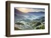 China, Guangxi Province, Longsheng, Long Ji rice terrace filled with water in the morning with Tian-Maurizio Rellini-Framed Photographic Print