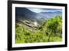 China, Guangxi Province, Longsheng, Long Ji rice terrace filled with water in the morning with Tian-Maurizio Rellini-Framed Photographic Print