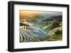 China, Guangxi Province, Longsheng, Long Ji rice terrace filled with water in the morning with Tian-Maurizio Rellini-Framed Photographic Print