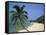 China, Hainan Island, Sanya, Beach Scene at Tianya-Haijiao Tourist Zone-Steve Vidler-Framed Stretched Canvas