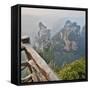 China, Hallelujah Mountains, Wulingyuan, Landscape and Many Peaks-Darrell Gulin-Framed Stretched Canvas