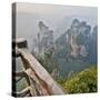 China, Hallelujah Mountains, Wulingyuan, Landscape and Many Peaks-Darrell Gulin-Stretched Canvas