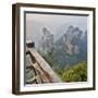 China, Hallelujah Mountains, Wulingyuan, Landscape and Many Peaks-Darrell Gulin-Framed Photographic Print