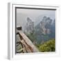 China, Hallelujah Mountains, Wulingyuan, Landscape and Many Peaks-Darrell Gulin-Framed Photographic Print