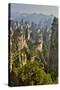 China, Hallelujah Mountains, Wulingyuan, Landscape and Many Peaks-Darrell Gulin-Stretched Canvas